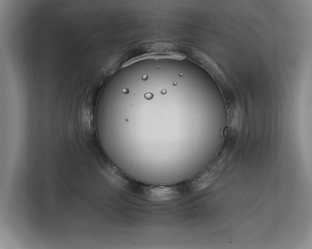 X0000111430669200907201109