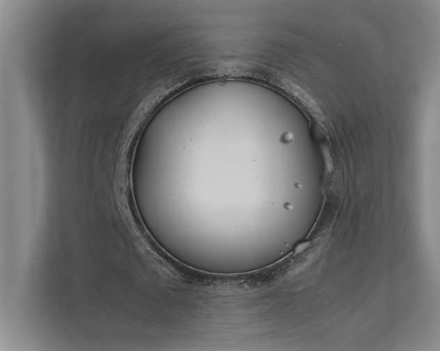 X0000111430673200907201109