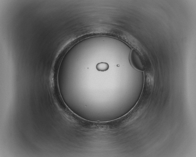 X0000111430676200907201109