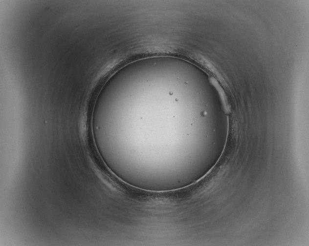 X0000111430677200907201109