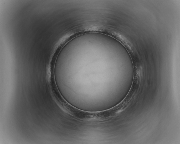 X0000111430678200907201109