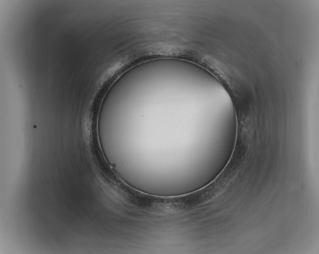 X0000111430679200907201109