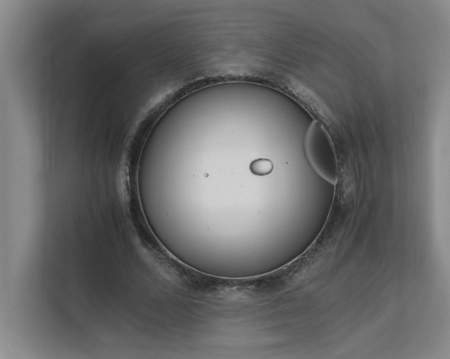 X0000111430680200907201109