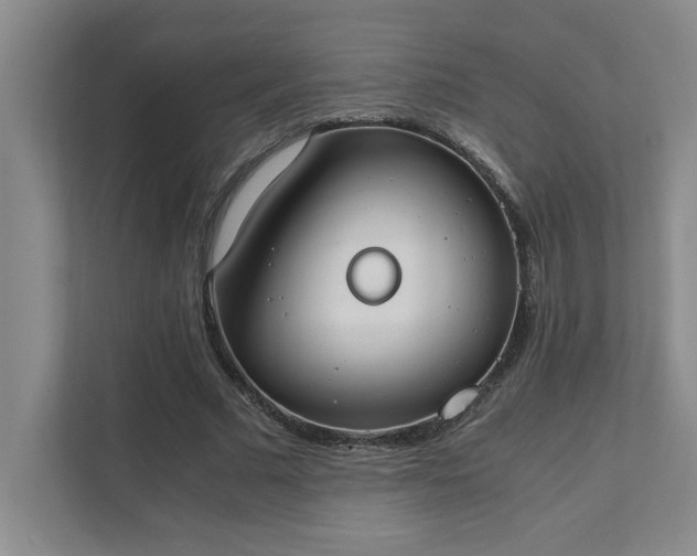 X0000111430681200907201109