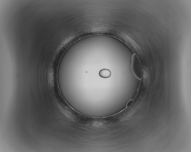 X0000111430684200907201109