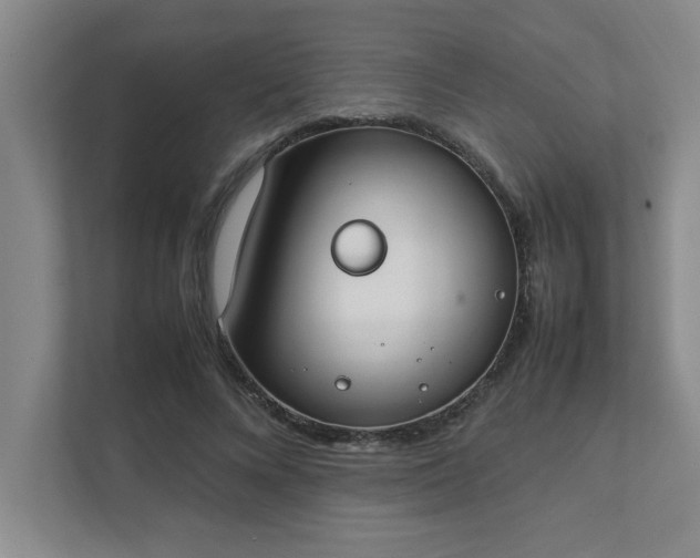 X0000111430688200907201109