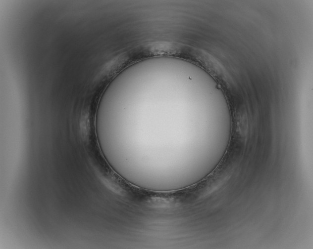 X0000111430690200907201109