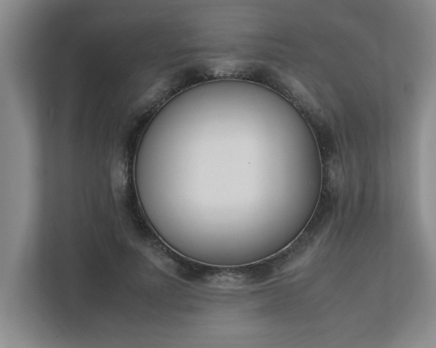 X0000111430691200907201109