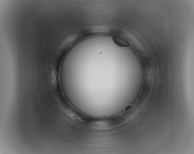 X0000111430692200907201109