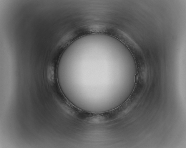 X0000111430696200907201108