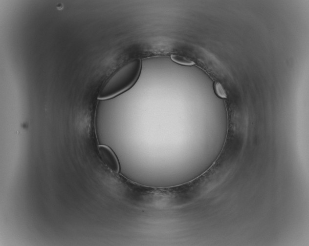 X0000111430697200907201108