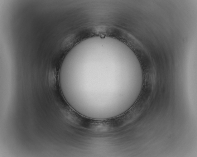 X0000111430702200907201108