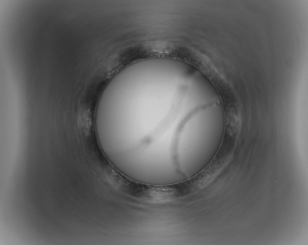 X0000111430707200907201108