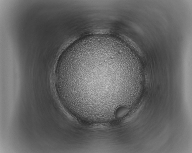 X0000111430721200907201108