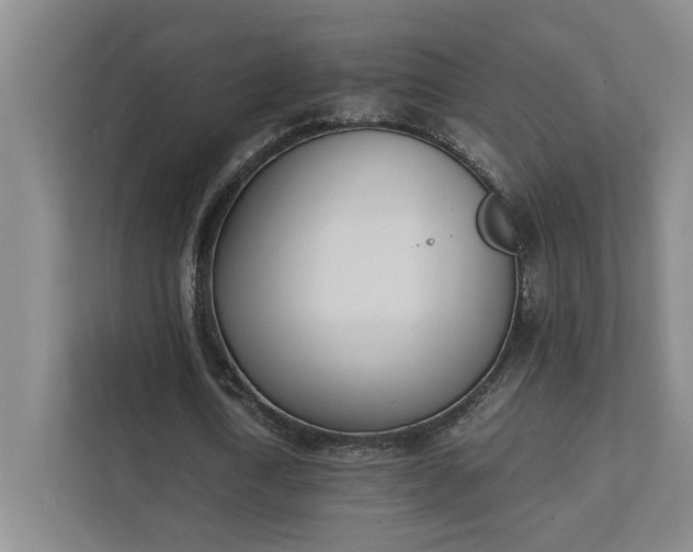 X0000111430722200907201108