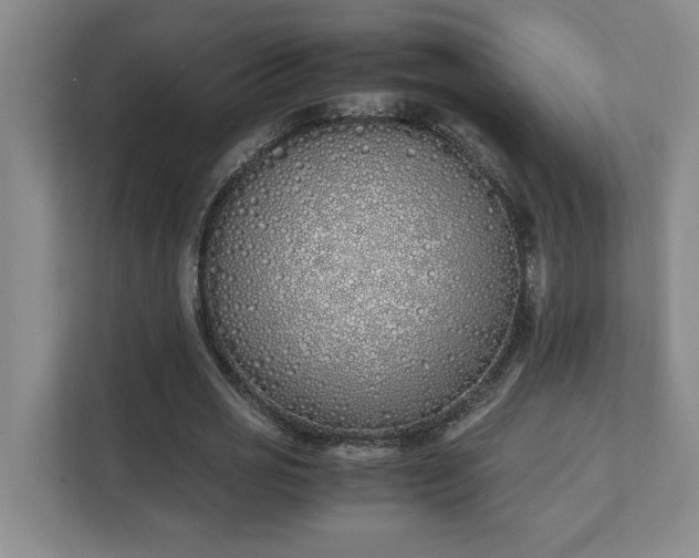 X0000111430725200907201108