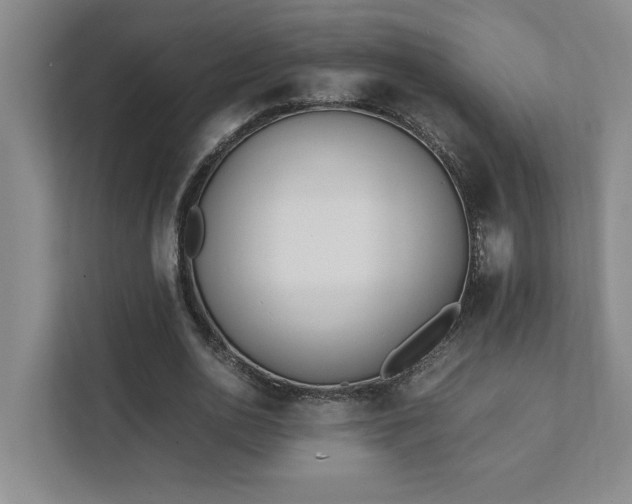 X0000111430726200907201108