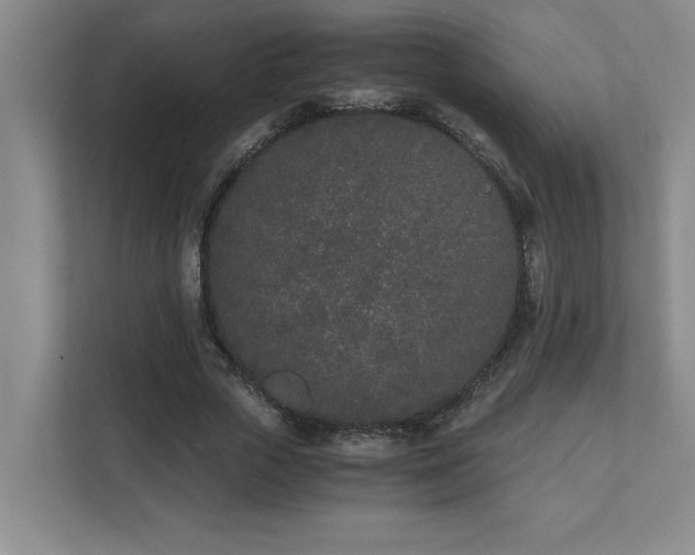 X0000111430729200907201108