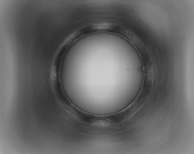 X0000111430731200907201108