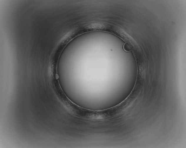 X0000111430735200907201108