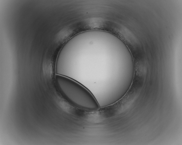 X0000111430740200907201108