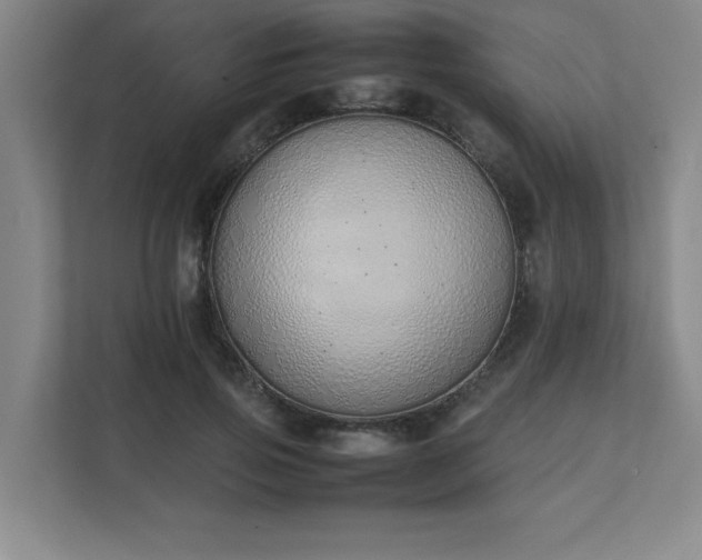 X0000111430741200907201108