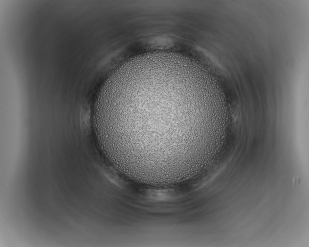 X0000111430745200907201108