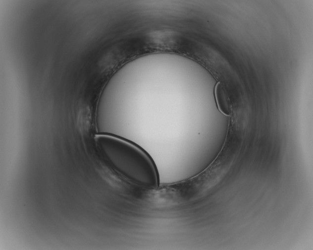 X0000111430752200907201108