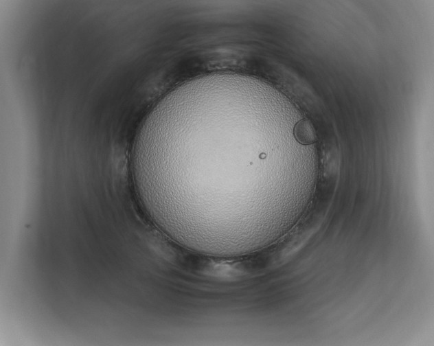 X0000111430753200907201108