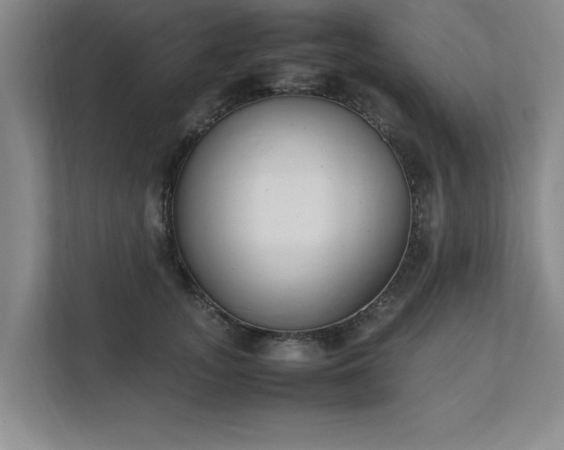 X0000111430755200907201108