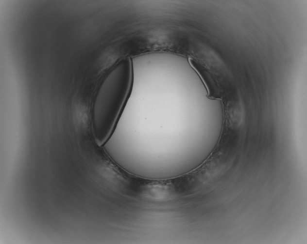 X0000111430756200907201108