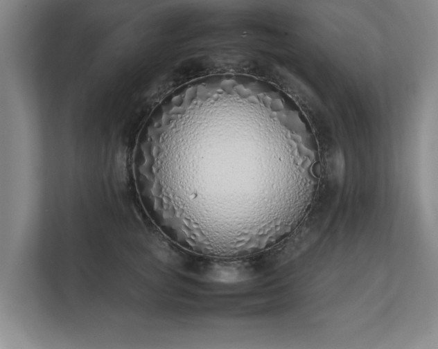 X0000111430757200907201108