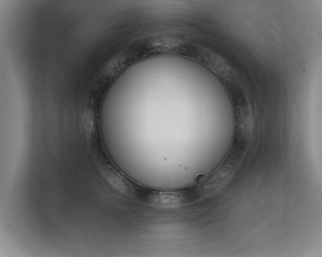 X0000111430758200907201108