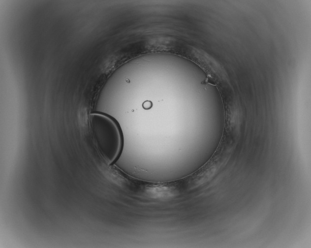 X0000111430759200907201108