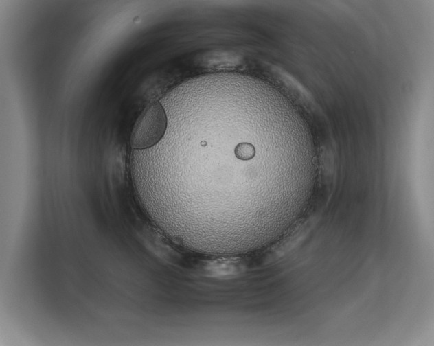 X0000111430761200907201108