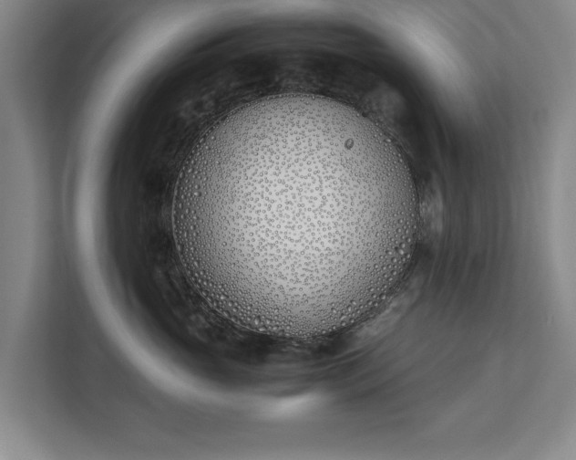 X0000111430765200907201108