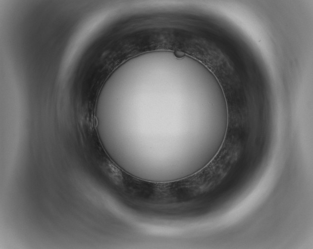 X0000111430766200907201108