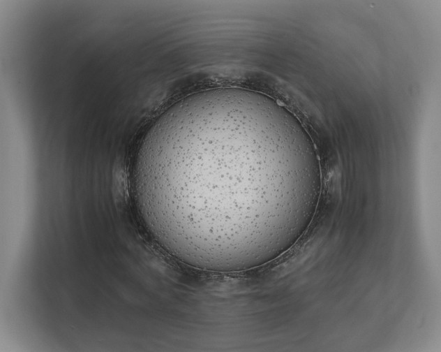 X0000111430772200907201108