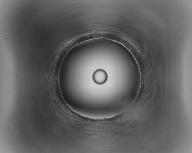 X0000111430773200907201107