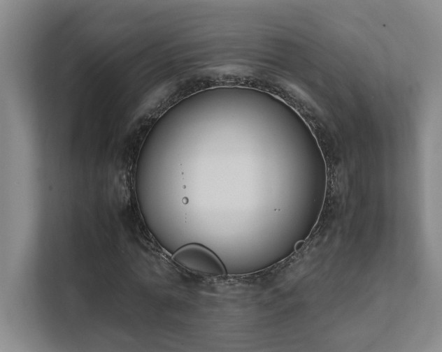 X0000111430774200907201107