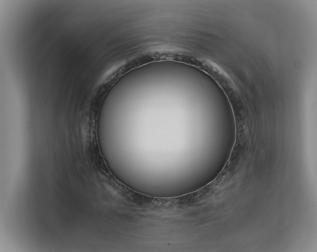 X0000111430775200907201107