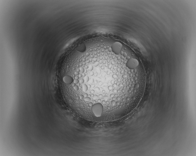 X0000111430776200907201107