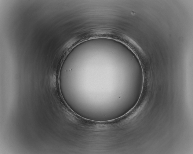 X0000111430777200907201107