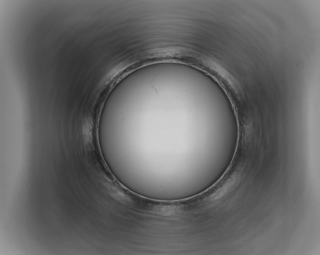 X0000111430778200907201107