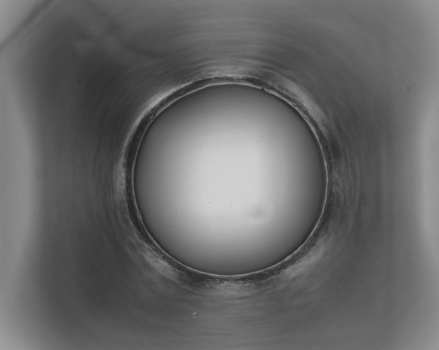 X0000111430779200907201107