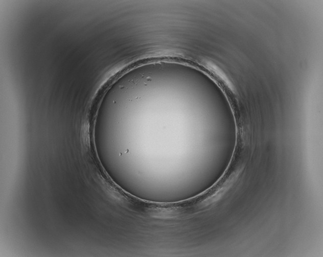 X0000111430781200907201107