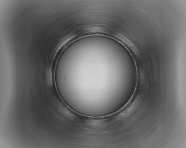 X0000111430782200907201107