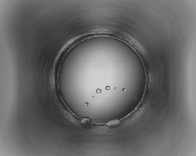 X0000111430784200907201107