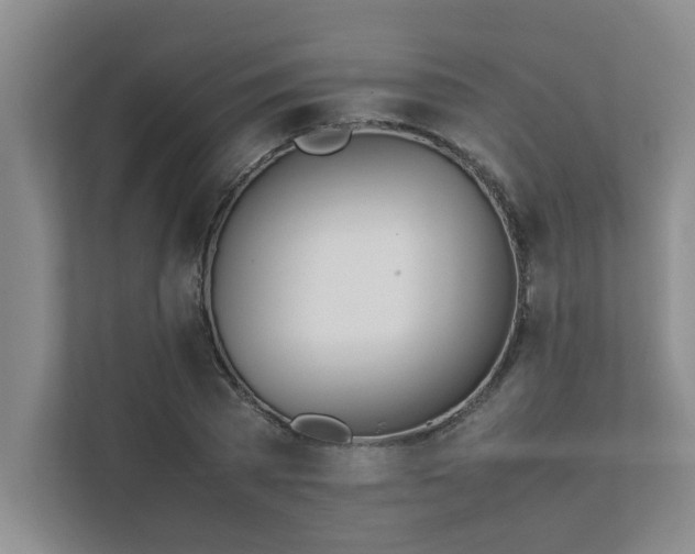 X0000111430785200907201107