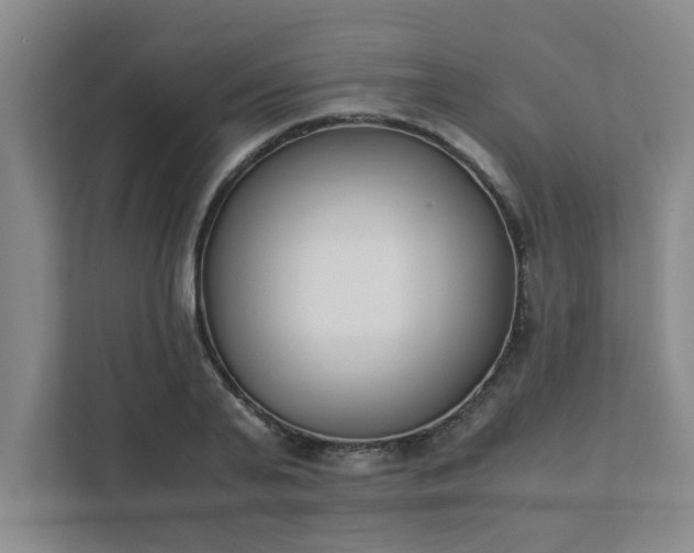 X0000111430791200907201107